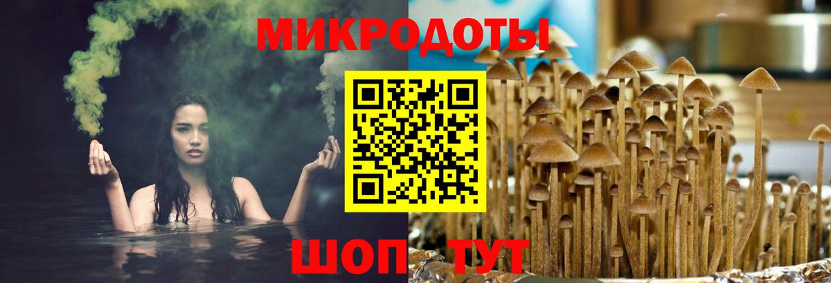 Галлюциногенные грибы Magic Shrooms Боровичи